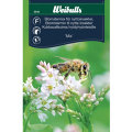 Blomstermix til nytteinsekter